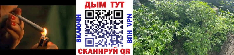 Магазин наркотиков Бокситогорск Alpha-PVP АМФ Мефедрон Конопля ГАШ Псилоцибиновые грибы Cocaine
