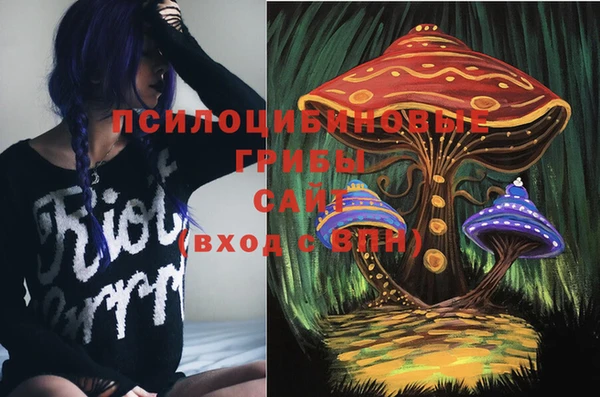 гидропоника Алексин