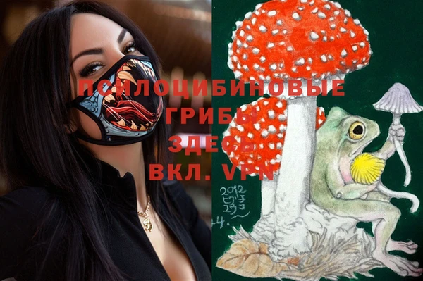 ECSTASY Алексеевка