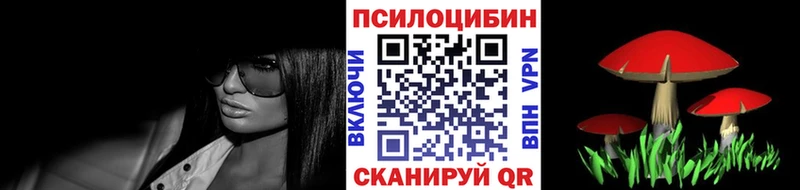 OMG tor  Бокситогорск  Галлюциногенные грибы Cubensis 